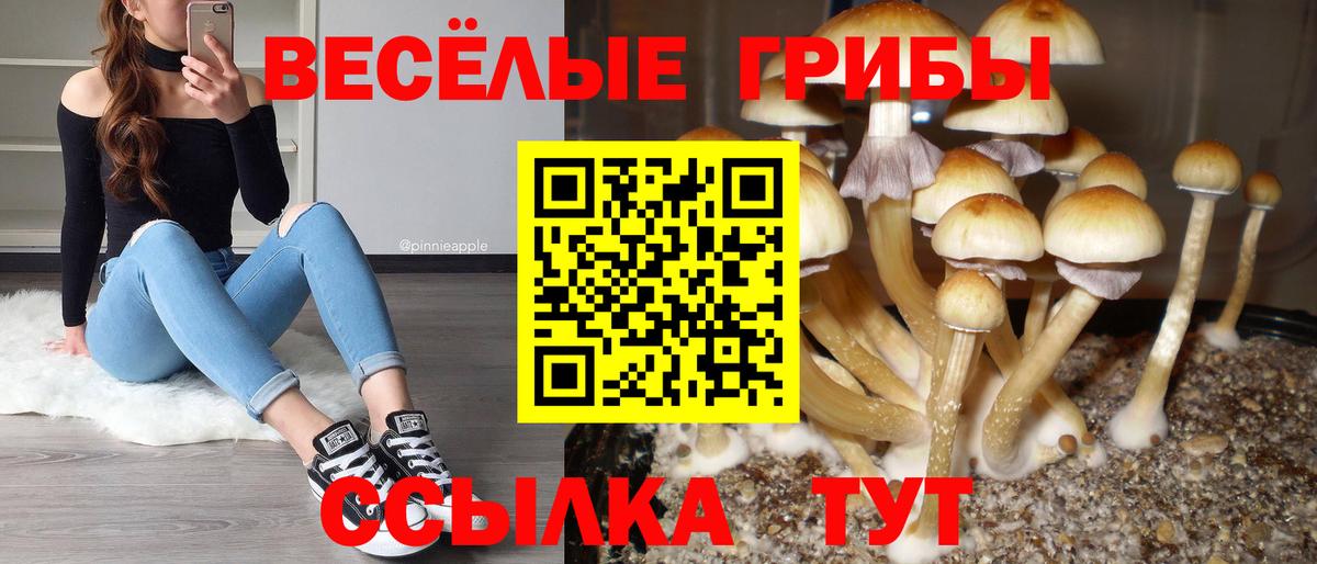 купить наркотик  Псилоцибиновые грибы мухоморы  Вход с VPN  Феодосия 